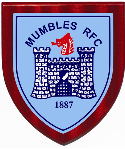 Image result for mumbles rfc